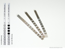   Thermo-Strips for 71 - 110C  